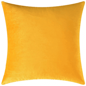 Velvet Pillow, Aspen