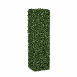 Boxwood Column