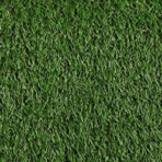 Grass-Runner-Close.png