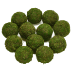 Moss-Balls-2.png