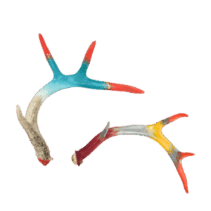 Painted Antlers