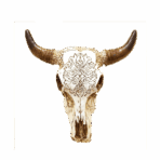 Southwest-Skull.png
