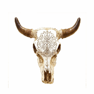 Southwest Skull