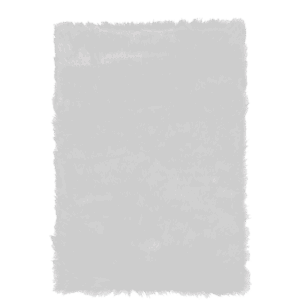 White Sheepskin Rug