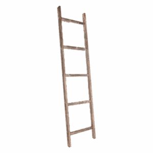 Wood Ladder