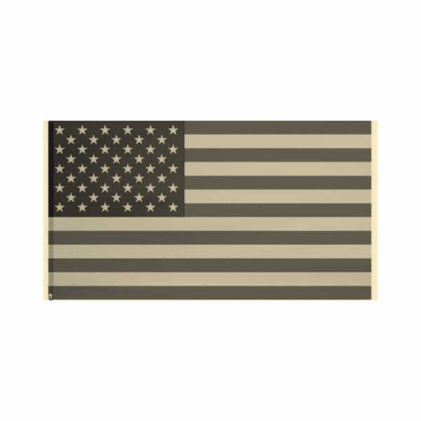 American-Flag-Sepia.png