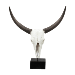 Bull Skull