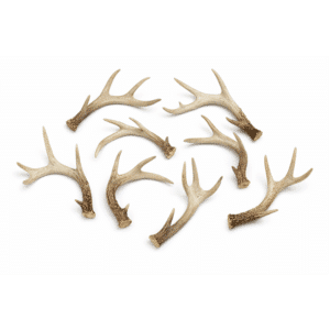 Deer Antlers