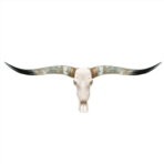 Longhorn-SKull.png