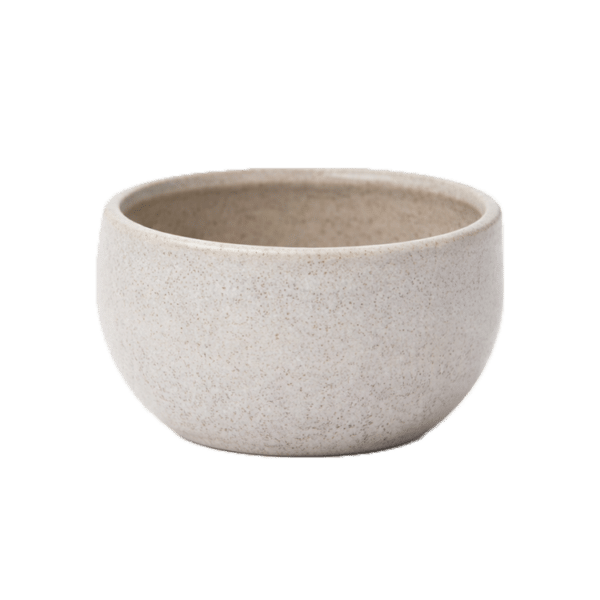 Lottie-Bowl.png