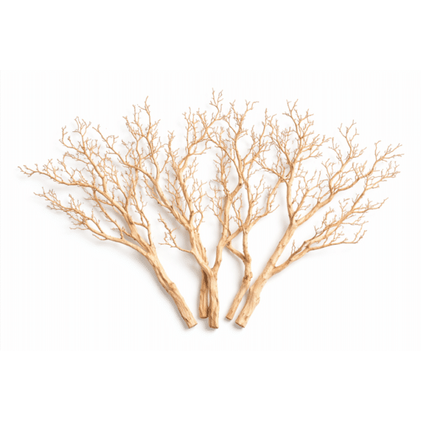 Manzanita-Branches.png