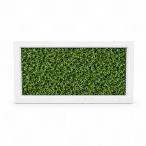 Stage Facade, Boxwood